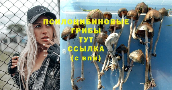 эйфоретик Балабаново