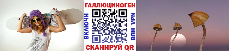Псилоцибиновые грибы мицелий  маркетплейс телеграм  Белёв  МЕГА зеркало 